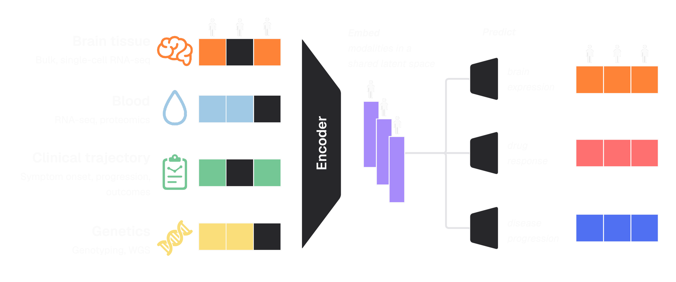 Schematic of Verge’s multi-modal foundation model. The model uses a contrastive learning approach that finds synergies between the modalities available for a given patient and generates a unified patient embedding. Patient embeddings are inputs into downstream translational tasks.
