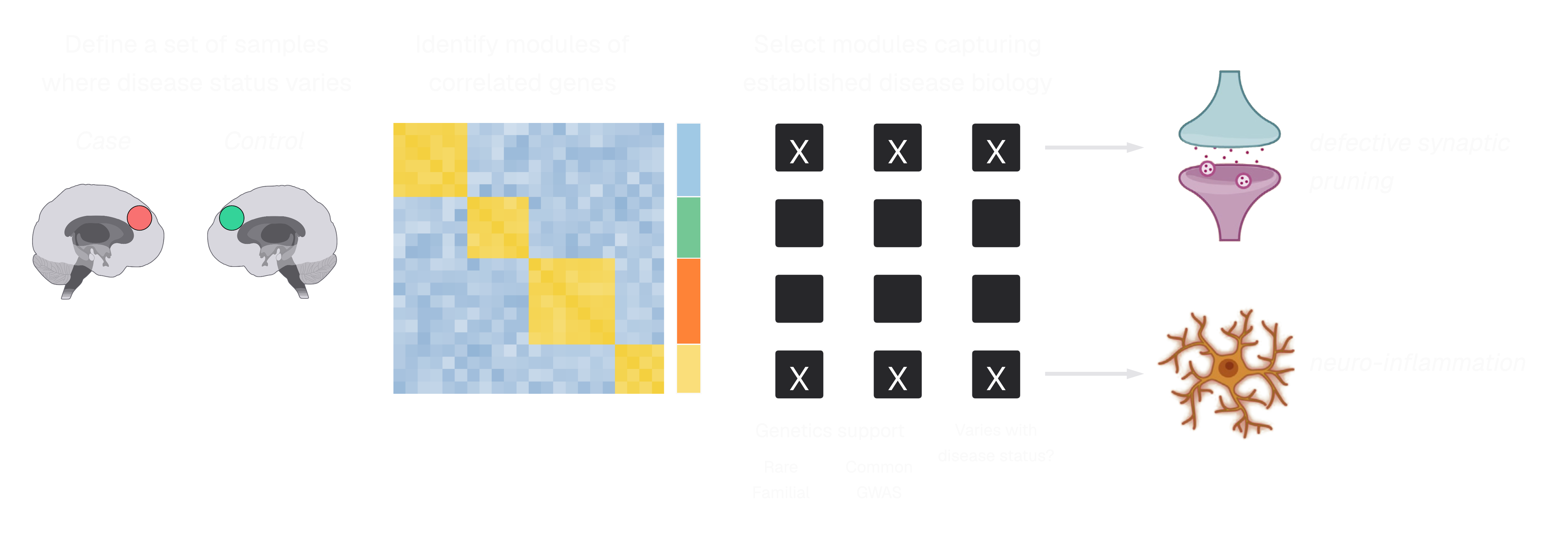Schematic of how disease pathways are discovered using Verge’s computational biology engine, CONVERGE.